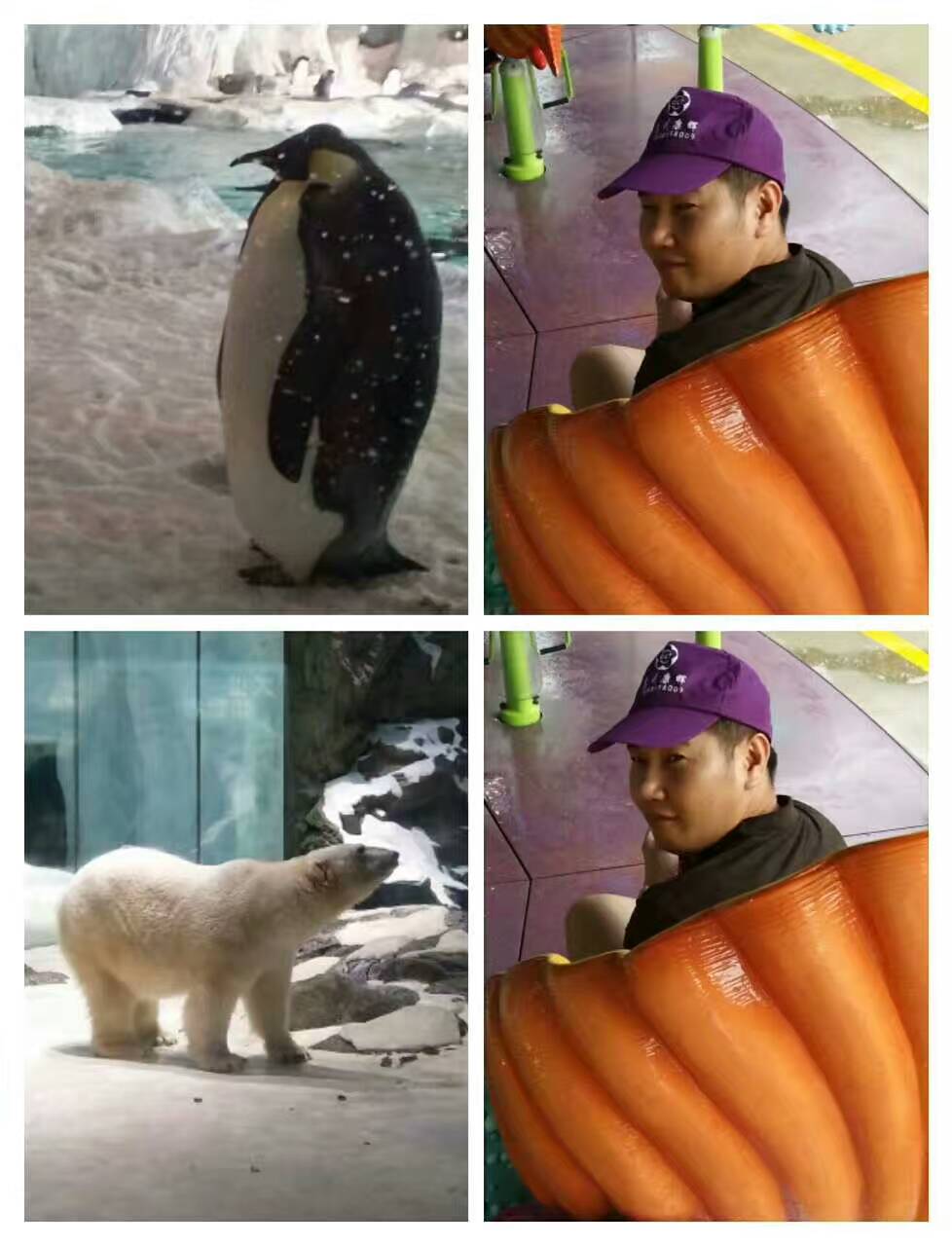 1493018840333690.jpg mmexport1493016914453.jpg