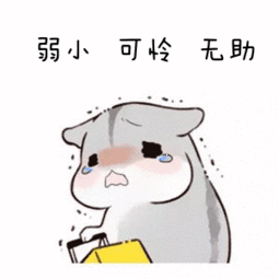 1567402822248962.gif 640 (5).gif